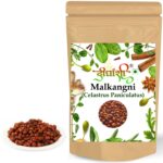 Dirghaanshi Malkangani, Jyotishmati, Celastrus Paniculatus, Malkangni Beej, Black Oil Plant (Pack of 100 GM)