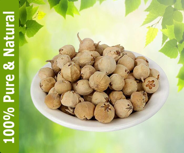 Dirghaanshi Paneer Phool, Paneer Doda, Indian Rennet, Withania Coagulans, Rishyagandha, Panirband, Anti Diabetes Seed, Health Benefits and Uses (Pack Of 1kg) - Image 2