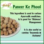 Dirghaanshi Paneer Phool, Paneer Doda, Indian Rennet, Withania Coagulans, Rishyagandha, Panirband, Anti Diabetes Seed, Health Benefits and Uses (Pack Of 1kg) - Image 3