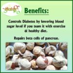 Dirghaanshi Paneer Phool, Paneer Doda, Indian Rennet, Withania Coagulans, Rishyagandha, Panirband, Anti Diabetes Seed, Health Benefits and Uses (Pack Of 1kg) - Image 4