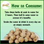 Dirghaanshi Paneer Phool, Paneer Doda, Indian Rennet, Withania Coagulans, Rishyagandha, Panirband, Anti Diabetes Seed, Health Benefits and Uses (Pack Of 1kg) - Image 5