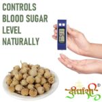 Dirghaanshi Paneer Phool, Paneer Doda, Indian Rennet, Withania Coagulans, Rishyagandha, Panirband, Anti Diabetes Seed, Health Benefits and Uses (Pack Of 1kg) - Image 6