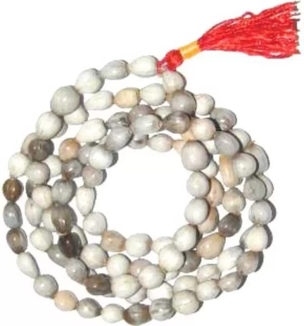 Pure Dirghaanshi Vaijanti Mala Without Rudraksha for Japa Puja and Neck Wearing, 100% Vaijayanti Beads Size 7-8 mm, Color Off White Wood Chain (Pack of 1 Pec) ? Natural Herbal & Spiritual Product ? Natural Herbal & Spiritual Product